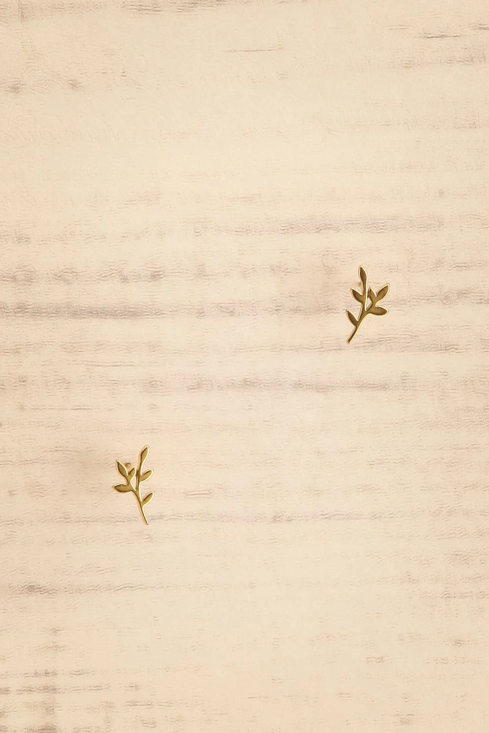 Dabord | Gold-Plated Olive Branch Stud Earrings