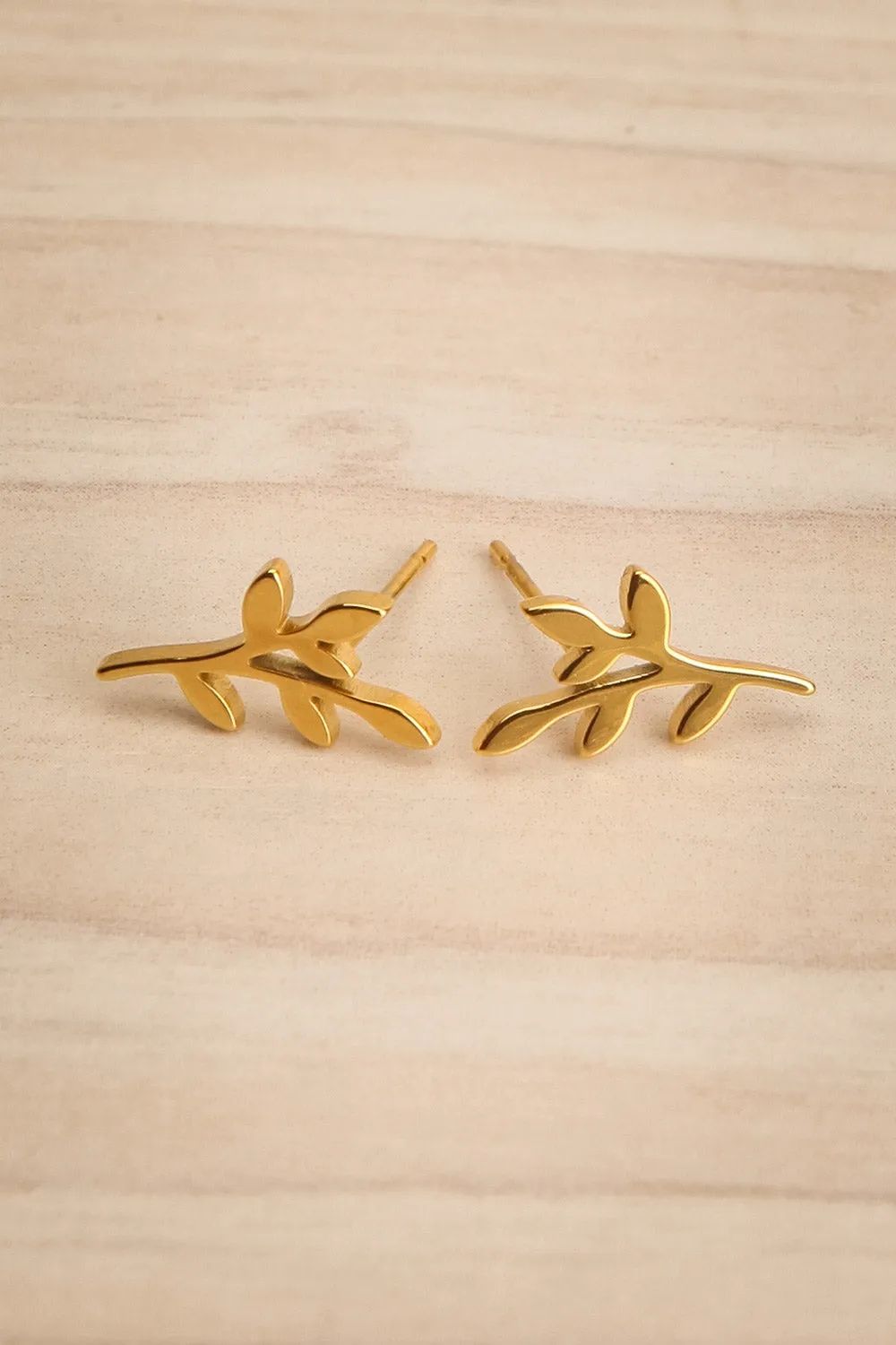 Dabord | Gold-Plated Olive Branch Stud Earrings