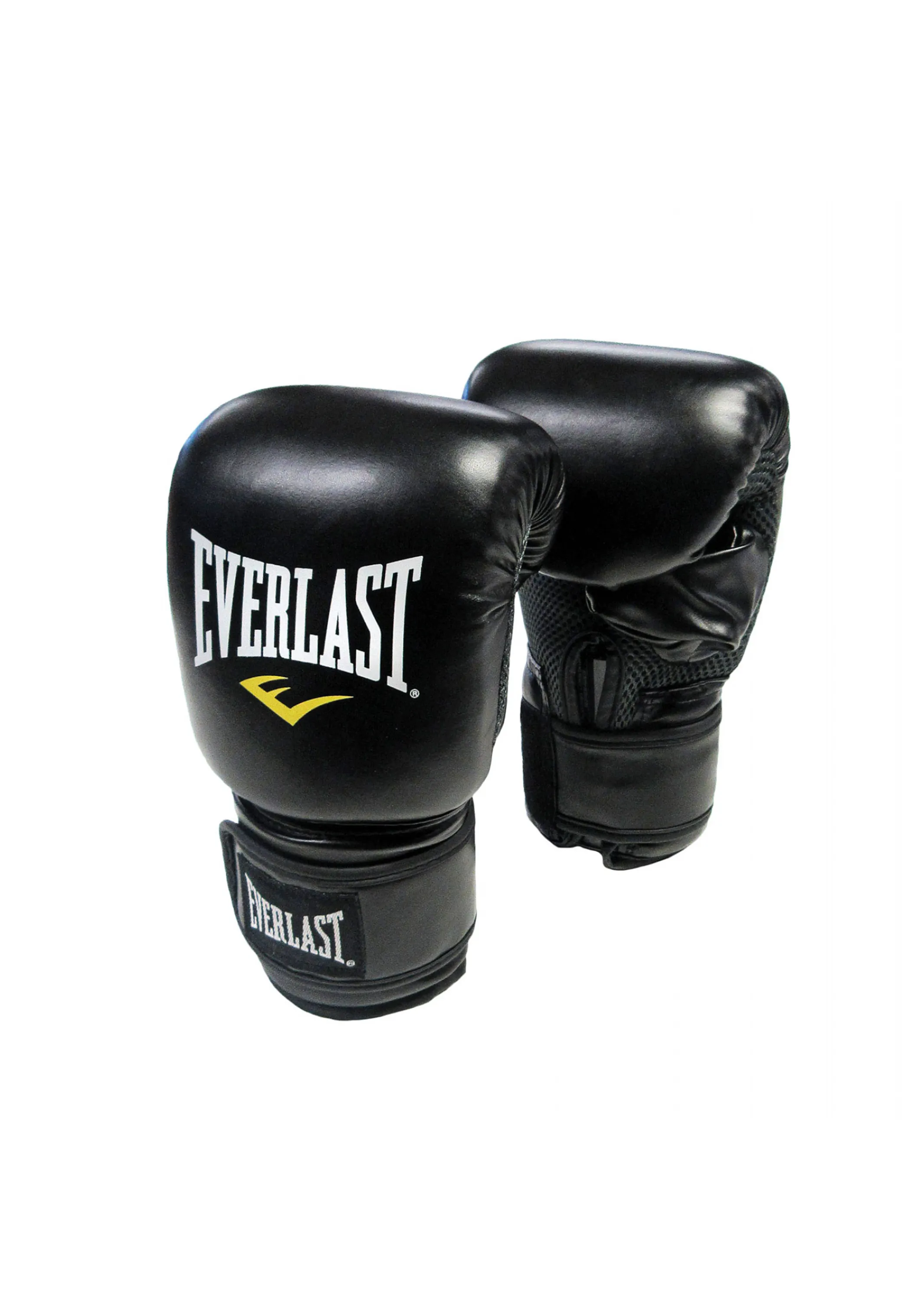 Everlast Punch Bag & Fitness Accessories