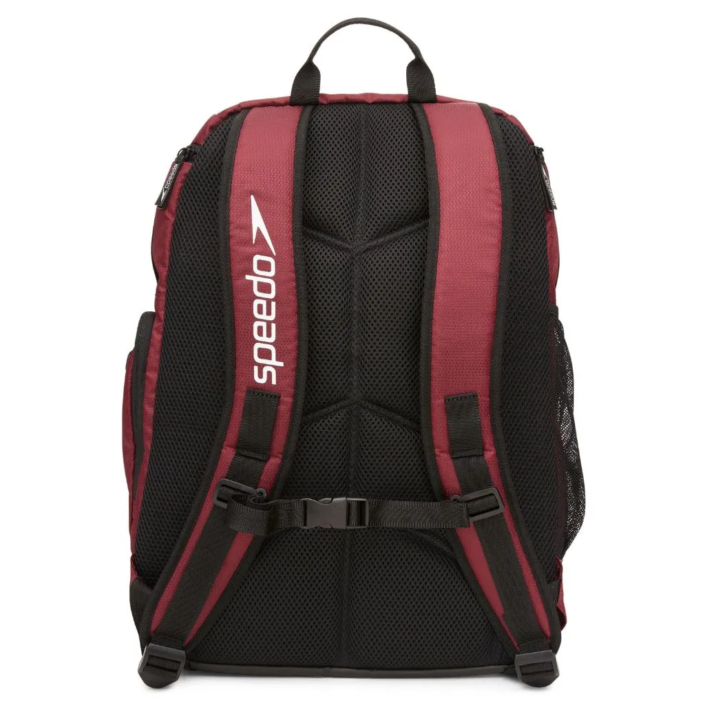 Speedo Teamster 2.0 Maroon